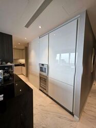 Wallich Residence  (D2), Condominium #580158111